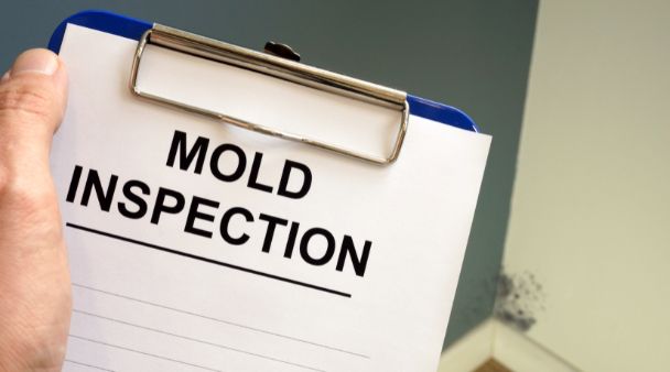 person holding a mold inspection form on a clopboard